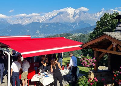Darbelin « vue Mont-Blanc »