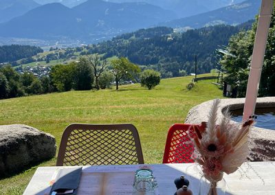 Darbelin « Vue Mont-Blanc »