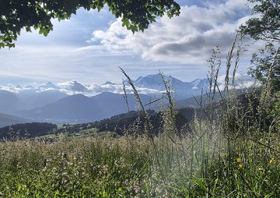 Darbelin « Vue Mont Blanc »